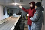 Кое-что о рециклинге