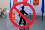 ТЫ-РЕПОРТЕР. Ну, и кто оказался прав? Выборы не нужны!