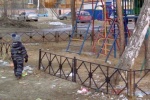 СЕТЕВОЙ ДОЗОР. О видео от очевидцев ДТП, протекающей квартире и собачьих &laquo;гульках&raquo;