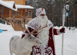 Сегодня Дед Мороз отмечает День рождения