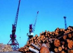 Результаты инвестиций в лесную отрасль: Предприятия Югры вышли на новую мощность