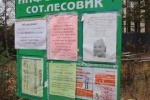 СЕТЕВОЙ ДОЗОР. О неправильном столбе, &laquo;беспросветном&raquo; &laquo;Лесовике&raquo; и опустевшем городе