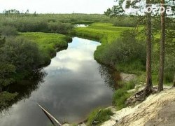 Уже 20 лет парк &laquo;Кондинские озера&raquo; охраняет редких животных и археологические памятники