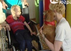 В Югре появится &laquo;дорожная карта&raquo; развития сети опорных реабилитационных и образовательных центров