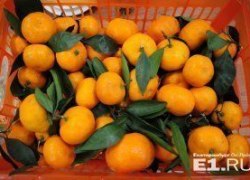 "Скоро будем продавать одну картошку": екатеринбургские ритейлеры - о запрете турецких овощей и фруктов