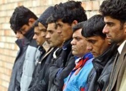 ГУБЕРНАТОР ЮГРЫ ПРОСИТ ПРОЯВЛЯТЬ НЕТЕРПИМОСТЬ К ПОТВОРСТВУ НЕЛЕГАЛЬНОЙ МИГРАЦИИ