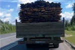 Лесопродукцию вывозили с нарушением