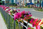 В Советском готовятся новые Правила городского благоустройства