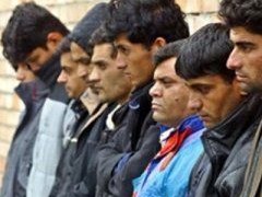 &laquo;Понаехали!&raquo; Столица Югры жалуется на засилье мигрантов