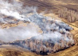 Пожароопасный сезон: что ждет Россию летом 2015 года