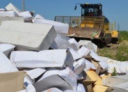 Россельхознадзор: более 870 тонн санкционной продукции уничтожено в России с 6 августа