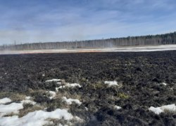 В Югре и Тюменской области зафиксированы первые ландшафтные пожары