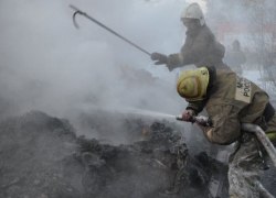 Горела, как сухие дрова: МЧС опубликовало видео пожара на турбазе под Первоуральском