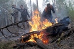 По иску прокурора суд обязал виновника лесного пожара возместить ущерб на сумму более 30 млн. рублей