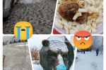 СЕТЕВОЙ ДОЗОР. Держитесь, будет &laquo;горячо&raquo;: о беспощадном хейте обновленного &laquo;самолета&raquo;, наступлении &laquo;короны&raquo; и хождении неспящих медведей