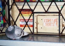 &laquo;Чем не пущать и запрещать алкоголь, лучше бы дали альтернативу&raquo;