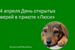 14 апреля День открытых дверей в приюте для животных в Советском «Люси»