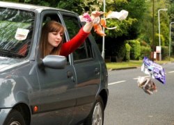 В Госдуму внесли законопроект о наказании мусорящих автомобилистов