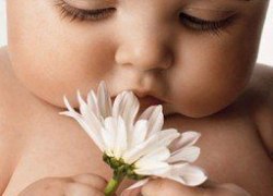 В Советском районе родилось 335 малышей В Советском районе родилось 335 малышей