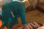 Служба Госстатистики получит данные о 50 тысячах фермерских хозяйств Югры