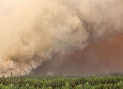 В Югре прогнозируют риск лесных пожаров предстоящим летом в центре и на востоке региона