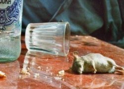 ЮГОРЧАНЕ ПРОТИВ «АЛКОИНИЦИАТИВЫ» ПРАВИТЕЛЬСТВА ХМАО ЮГОРЧАНЕ ПРОТИВ «АЛКОИНИЦИАТИВЫ» ПРАВИТЕЛЬСТВА ХМАО