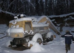 Полицейские Советского района выявили незаконную рубку лесных насаждений