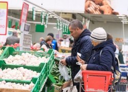 Закон о местных продуктах в торговых сетях: рассматриваем плюсы и минусы