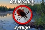 Осторожно! Клещи!
