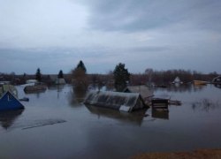 Уровень воды в Тоболе поднялся в Кургане выше 10 метров