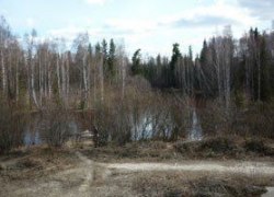 В СОВЕТСКОМ РАЙОНЕ ХМАО НА БЕРЕГУ РЕКИ ОБНАРУЖЕН ОБУГЛЕННЫЙ ТРУП МУЖЧИНЫ