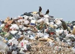 Более ста незаконных свалок обнаружено в Югре в этом году