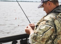 Квота на вылов пеляди в Югре возросла