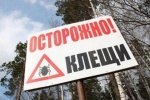 Информация по клещевому энцефалиту на 15.05.15г.