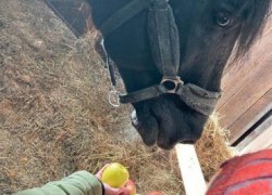 В Советском районе в самом разгаре мероприятия фестиваля "Действуй"!