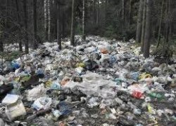 СОВЕТСКИЙ РАЙОН В 2013 ГОДУ ЛИДИРУЕТ ПО КОЛИЧЕСТВУ НЕСАНКЦИОНИРОВАННЫХ СВАЛОК