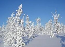 Жара в пять раз опаснее для человека, чем мороз