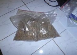 Полицейскими Советского района задержан подозреваемый в хранении наркотиков