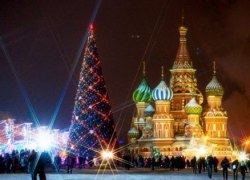 Новогодние красавицы Югры