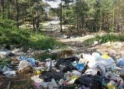 ​В Югре будет создан сайт для сбора фотожалоб на загрязнение природы