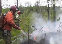 Больше других от огня пострадали дачники. Чтобы не допустить возгораний инспекторы проверили у садоводов печи