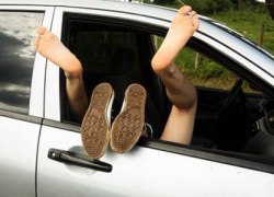 В Нидерландах разрешили платить за водительские права сексом