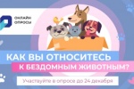 Социологи Югры выясняют отношение югорчан к проблеме бездомных животных