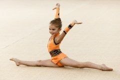Открытое первенство Советского района по художественной гимнастике