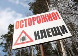 Информация по клещевому энцефалиту на 15.05.15г.
