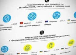 Что и почему запрещено ввозить в Россию (инфографика)