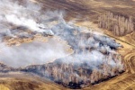 Пожароопасный сезон: что ждет Россию летом 2015 года