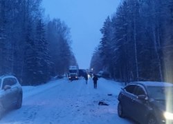Активисты хотят наказать собственника участка на Серовском тракте из-за дорожного коллапса
