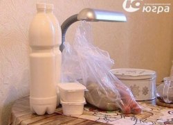 Снабжает ветеранов бесплатными продуктами. В Советском районе владелец фермерского хозяйства продемонстрировал небывалый пример благотворительности