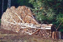 ДРОВНИЦА С ПОРОШКОМ. ЖИТЕЛЬ ПОСЕЛКА СОВЕТСКИЙ ОБНАРУЖИЛ В ЛЕСУ ЗАЛЕЖИ ПОРОХА. А ВСЕГО ЛИШЬ ПОШЕЛ ЗА ЯГОДАМИ